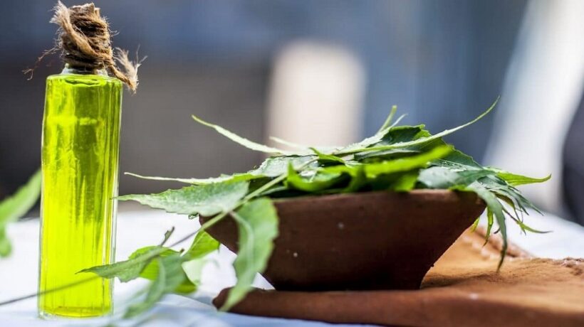 What are the Disadvantages of Neem Oil for Plants?