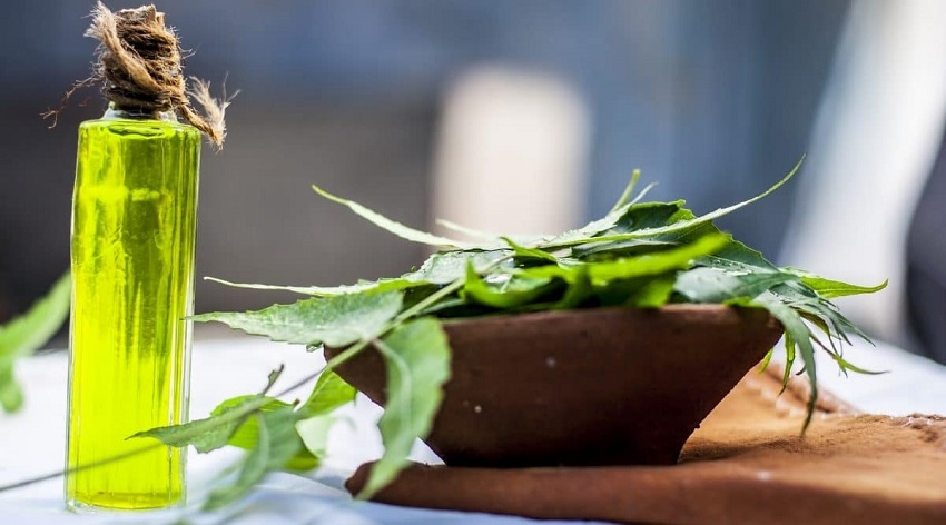 What are the Disadvantages of Neem Oil for Plants