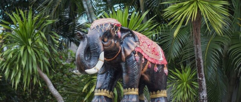 Unveiling the Best Elephant Sanctuary in Phuket