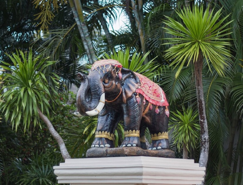 Unveiling the Best Elephant Sanctuary in Phuket