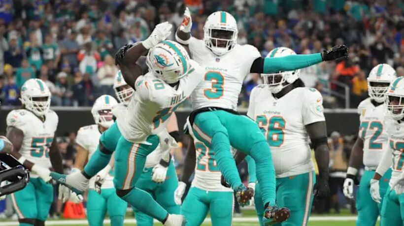 10 Reasons Miami Dolphins Games Are a Must-Experience Event