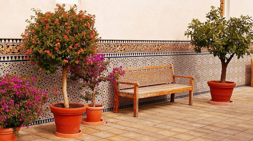 What plants are best for concrete planters