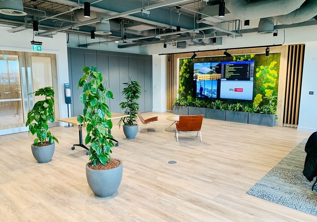 What are the three pillars of biophilic design