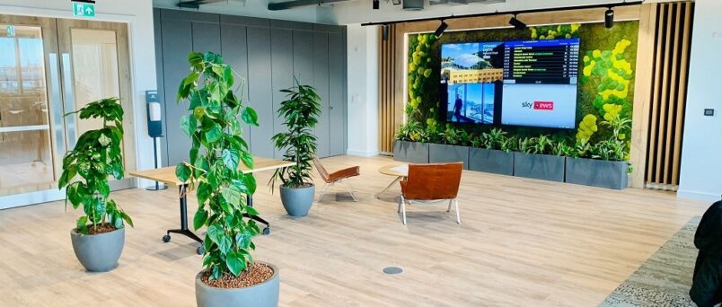 What are the three pillars of biophilic design