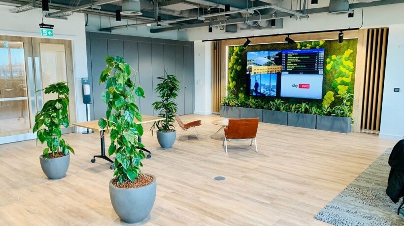 Creating a Biophilic Design With Floor Plants on Industrial Flooring