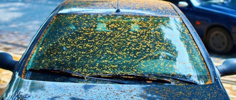How to remove tree sap from car without damaging paint youtube
