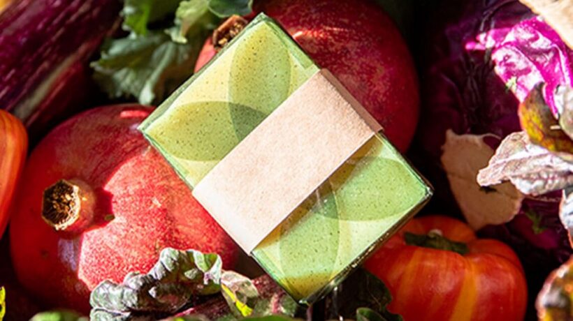Sustainable Seaweed Packaging Innovations You Need to Know
